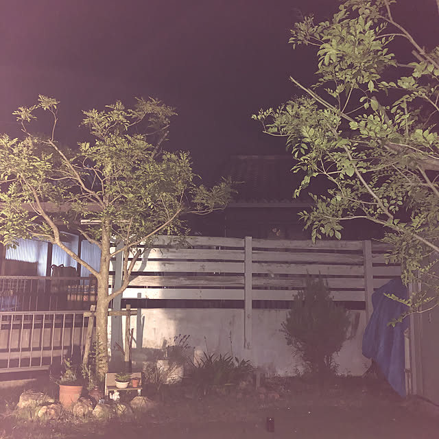 sumatora.toさんの実例写真