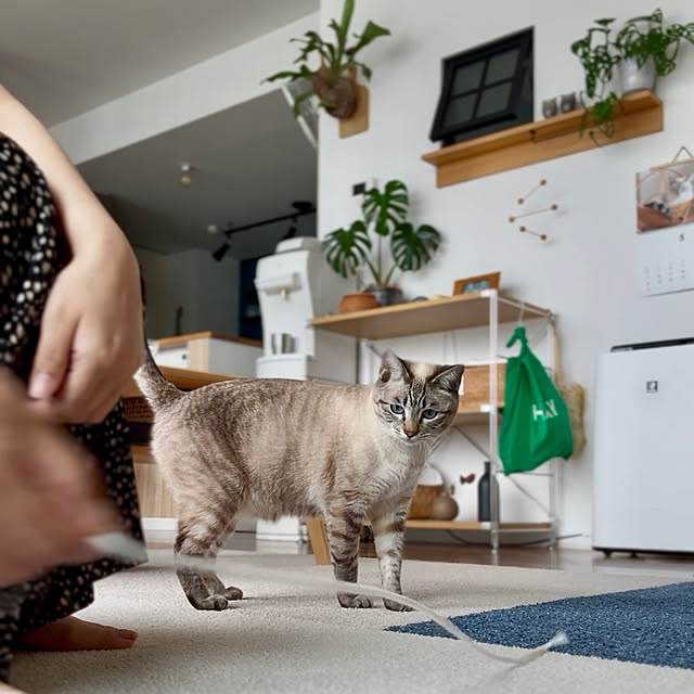 amさんの実例写真