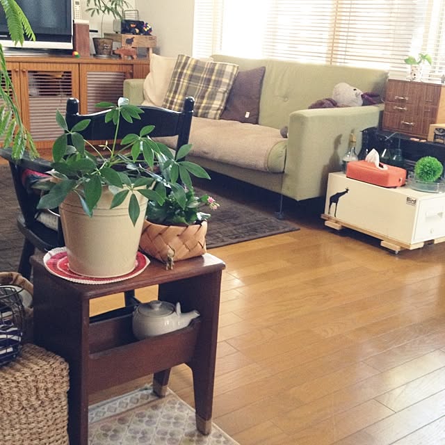 botanさんの実例写真
