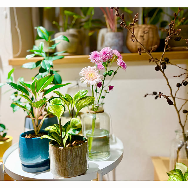 saahannさんの実例写真