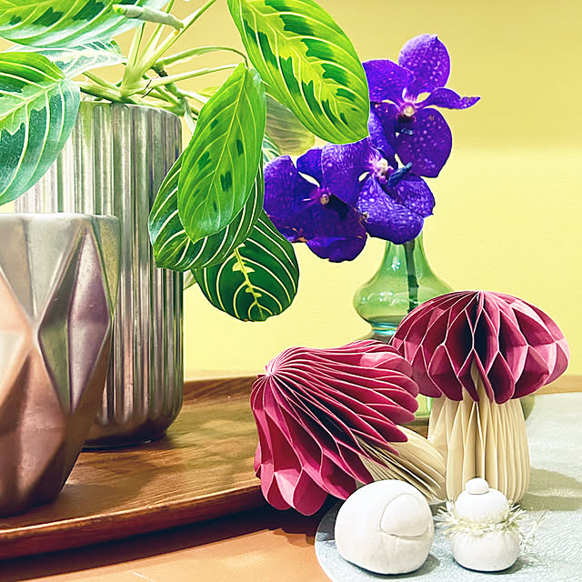 DAYONEさんの部屋