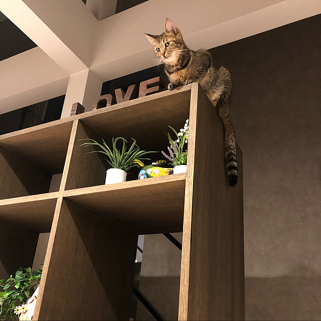 hiroさんの実例写真