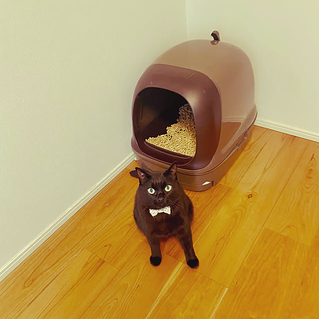 iiiyocoiiiさんの実例写真