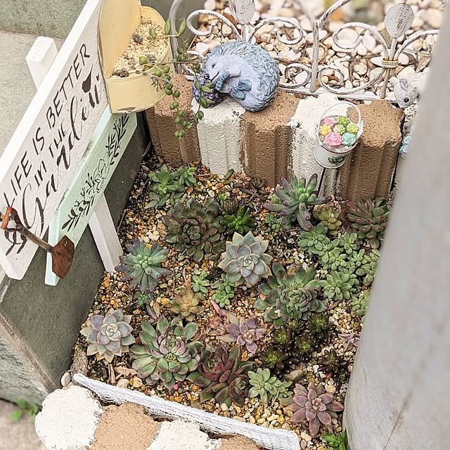 purpureさんの部屋
