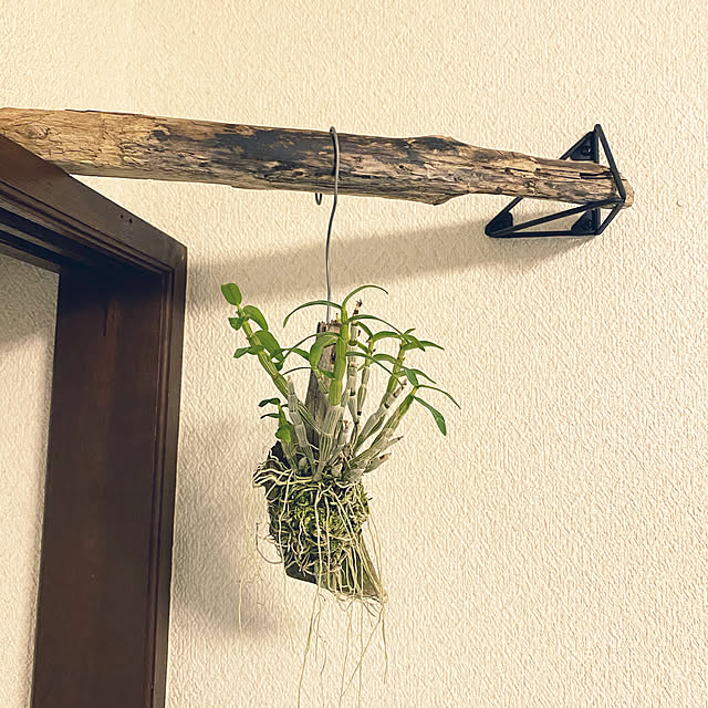 piyomchiさんの実例写真