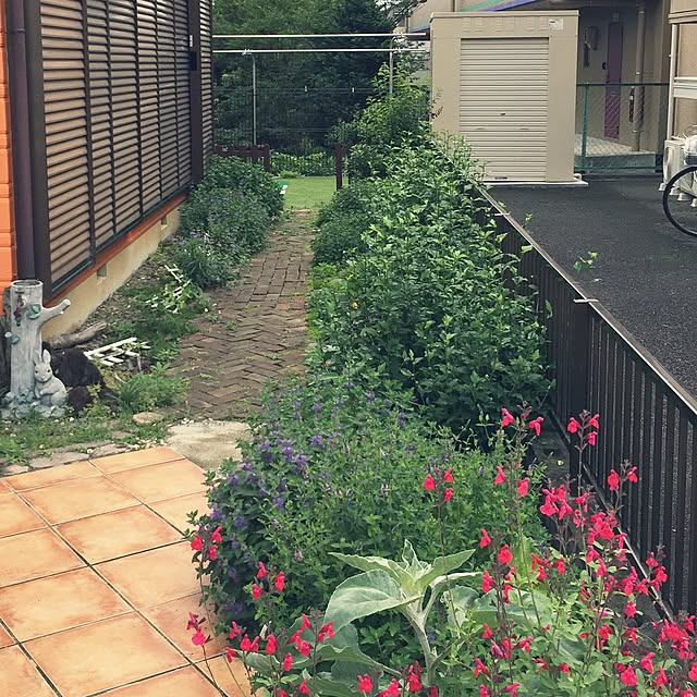 dola3685さんの実例写真