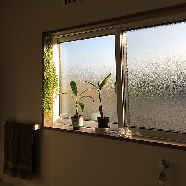 seiさんの実例写真