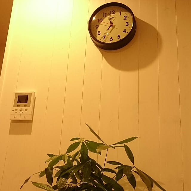 kaboさんの実例写真