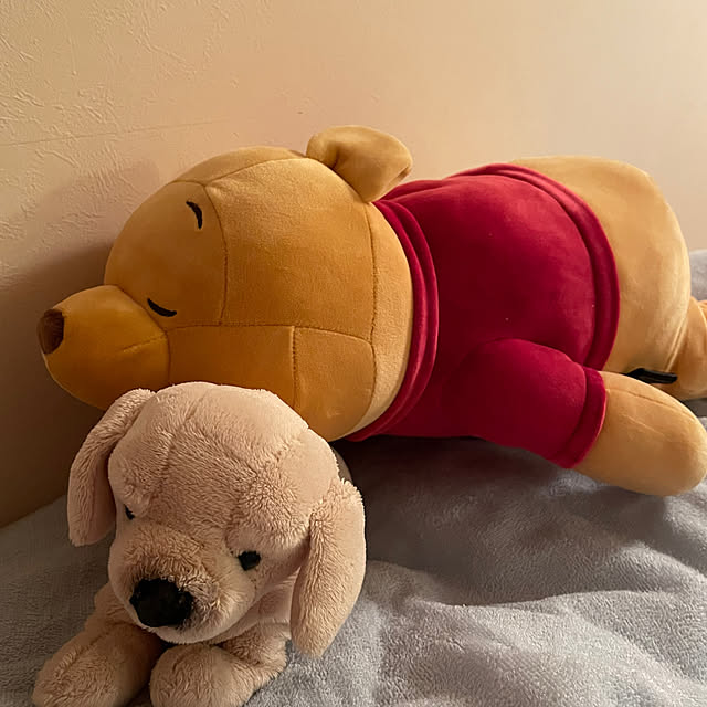 kakoさんの実例写真