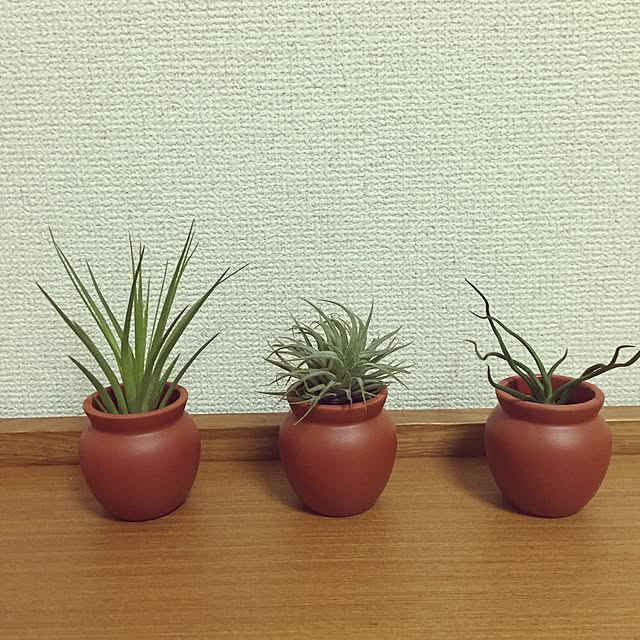 Hiroco.さんの実例写真