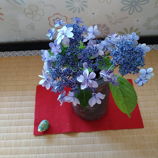 kakkaさんの実例写真