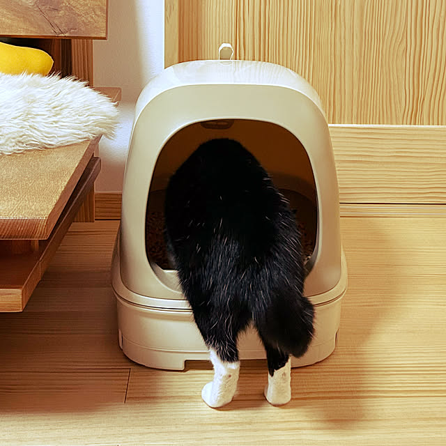 haruさんの部屋