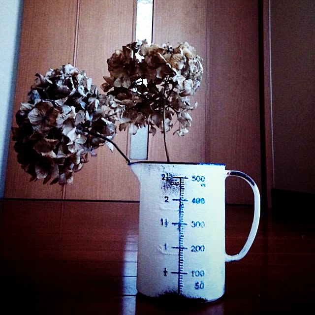 takesanaharuさんの実例写真