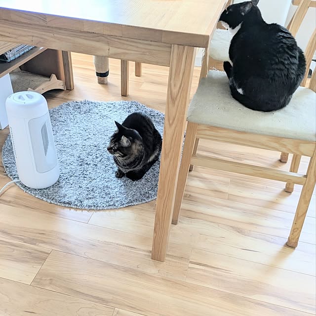 hihaさんの部屋