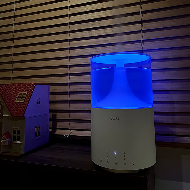 リビング/cado/カドー加湿器/ナチュラル/ウッドブラインドのインテリア実例 - 2025-02-02 23:24:34