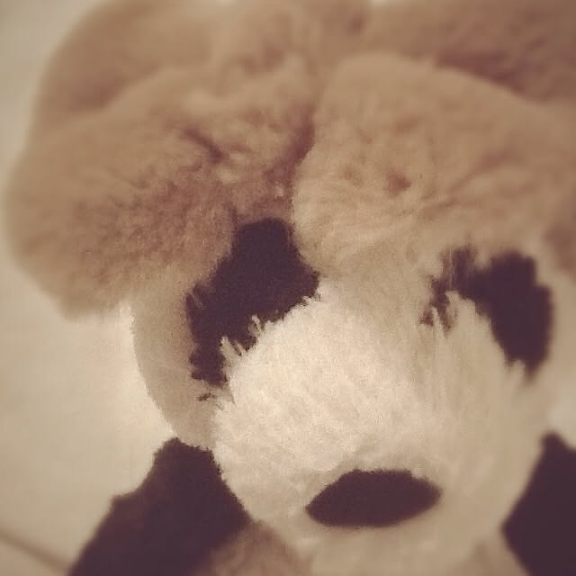 pandaさんの実例写真