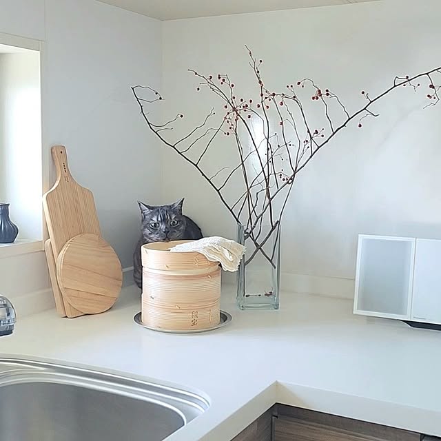 tomatoさんの部屋