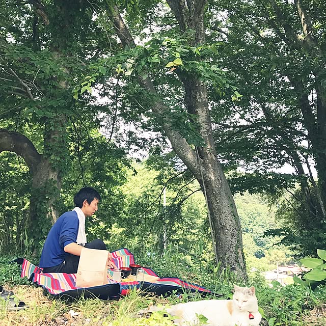yamaniwaさんの実例写真