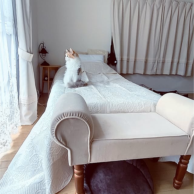+CHIHARU+さんの部屋