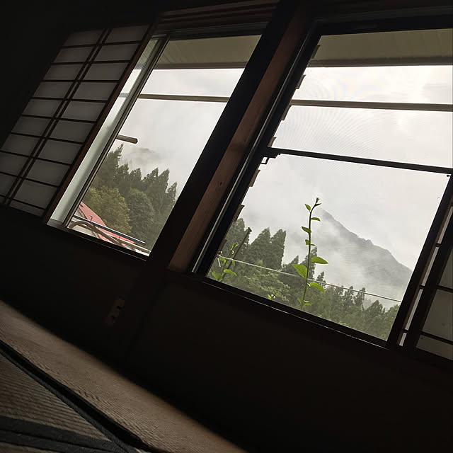 aoinokimiさんの実例写真