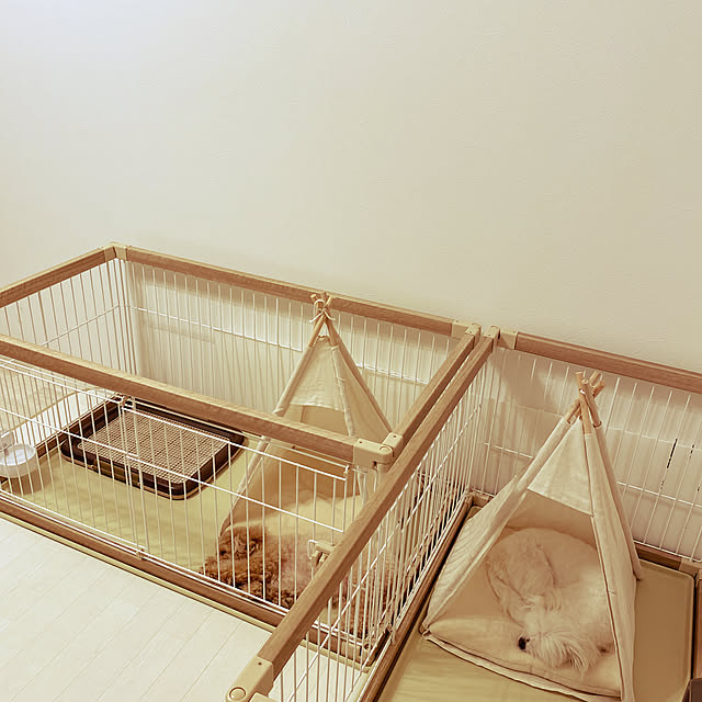 akoさんの実例写真