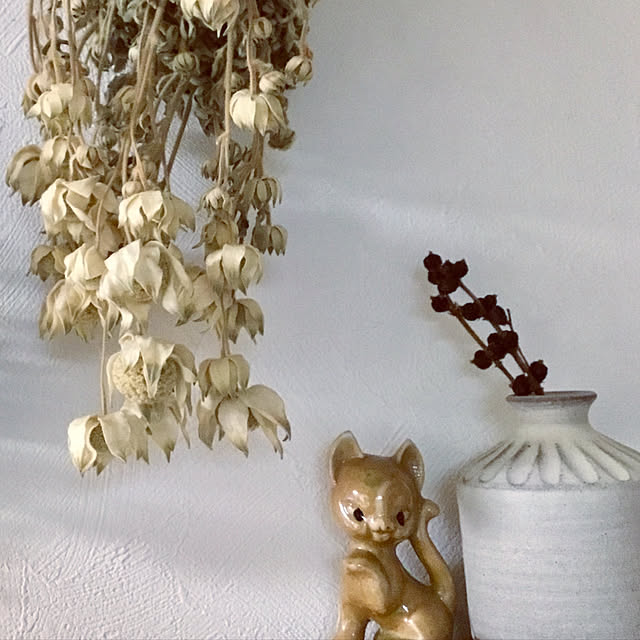 hiccaさんの実例写真