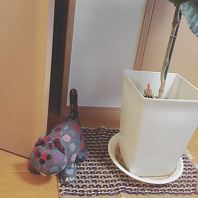 king38さんの実例写真