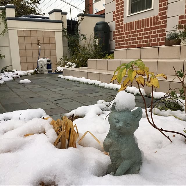 yuchiさんの実例写真