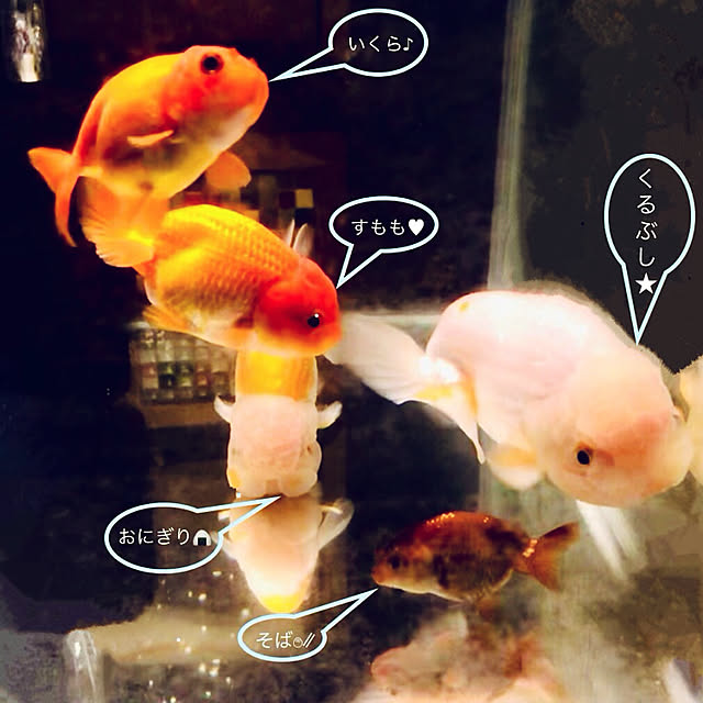 Chiiさんの実例写真
