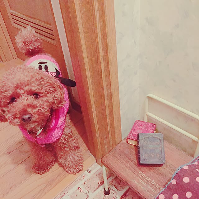 mizutamaさんの実例写真