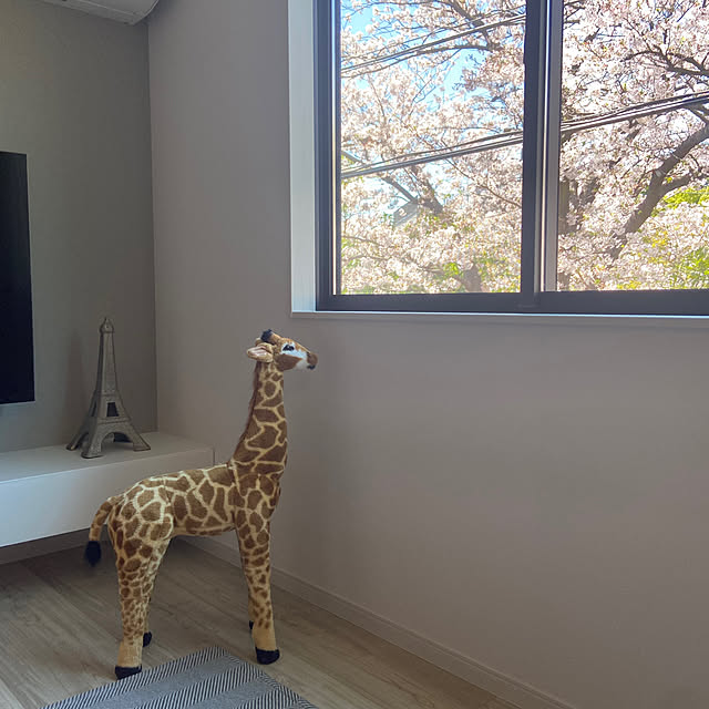 SATOEさんの実例写真