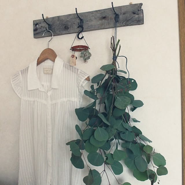 sora-iroさんの実例写真