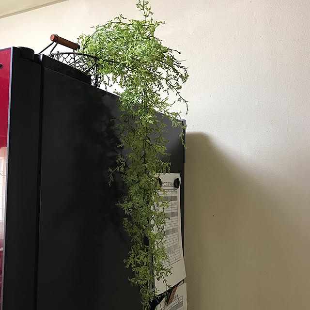 masaさんの実例写真