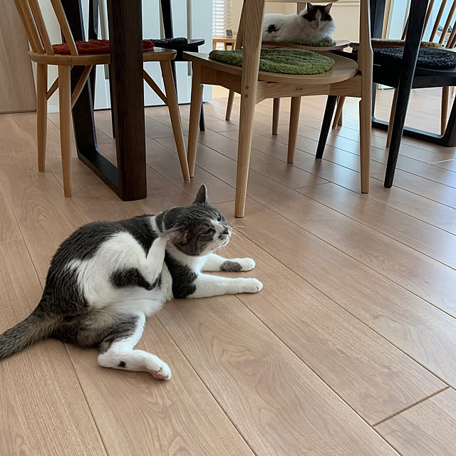 tinさんの実例写真