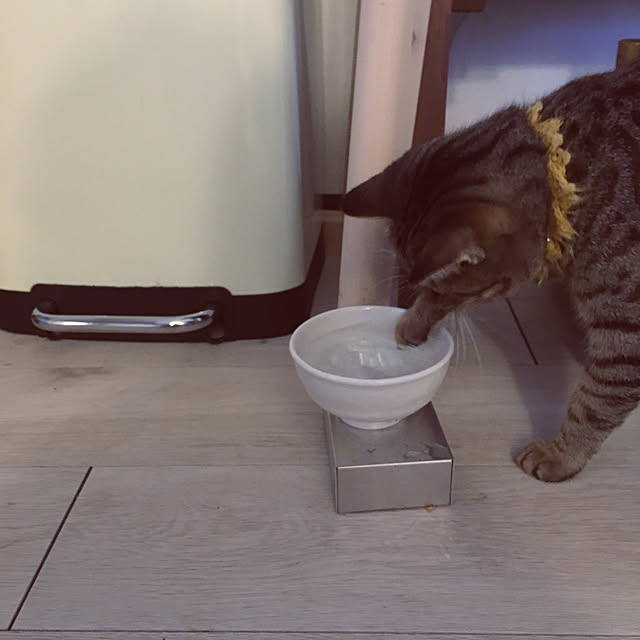 Mさんの実例写真