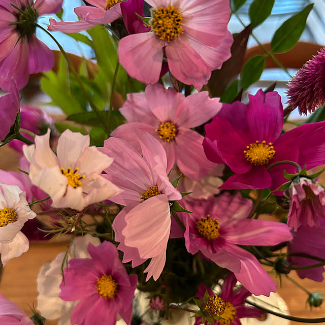 happy-sachiさんの部屋