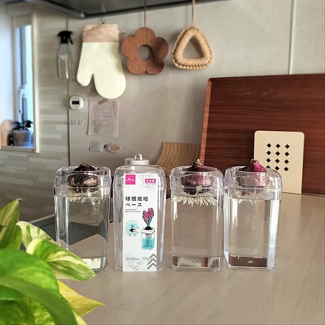 pecoさんの実例写真