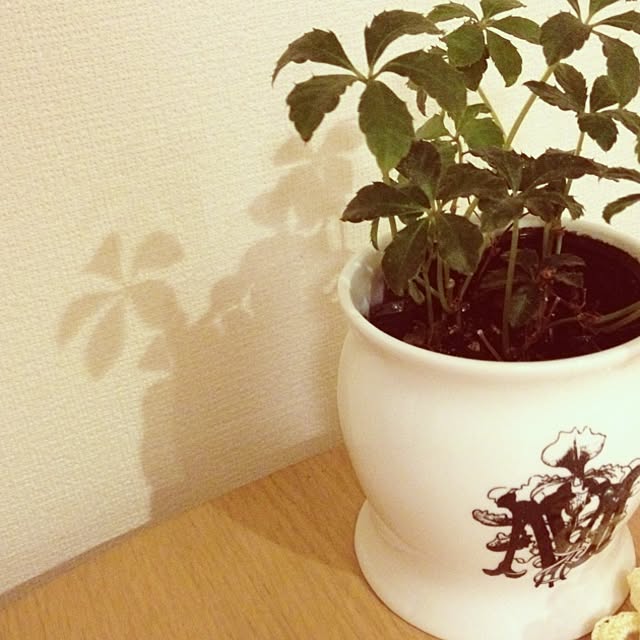 nanamomoさんの実例写真