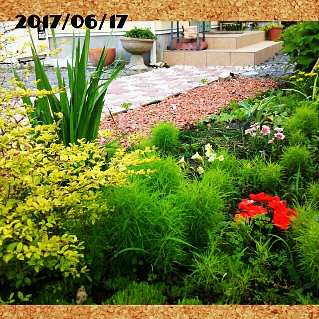 bousuke.215112さんの実例写真