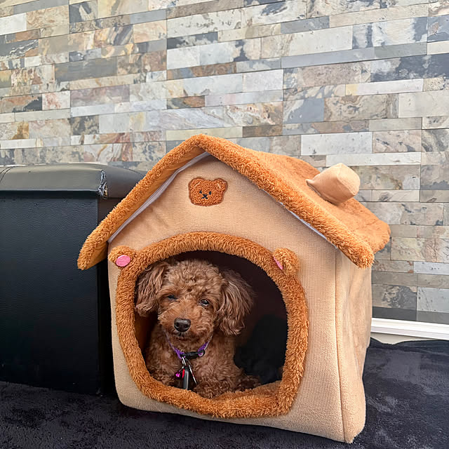 MOMOMAMAさんのお部屋の写真