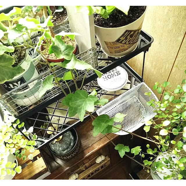 tomokaさんの実例写真