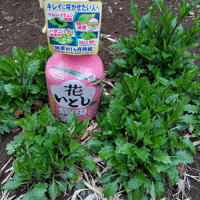 houenさんの部屋