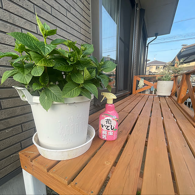 RUFFYさんの実例写真