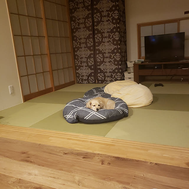 chihaさんの実例写真