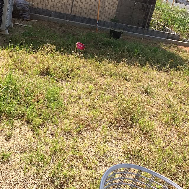0t0さんの実例写真