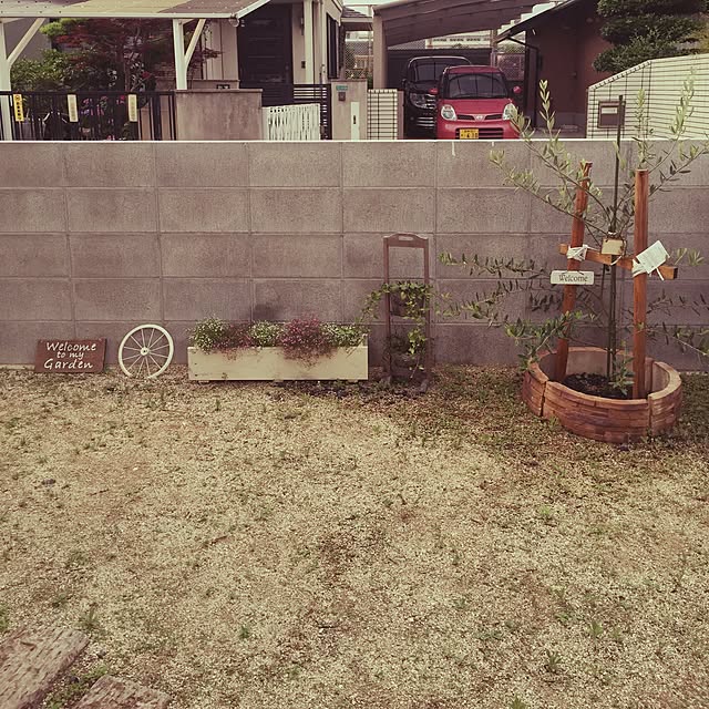 ringoさんの実例写真