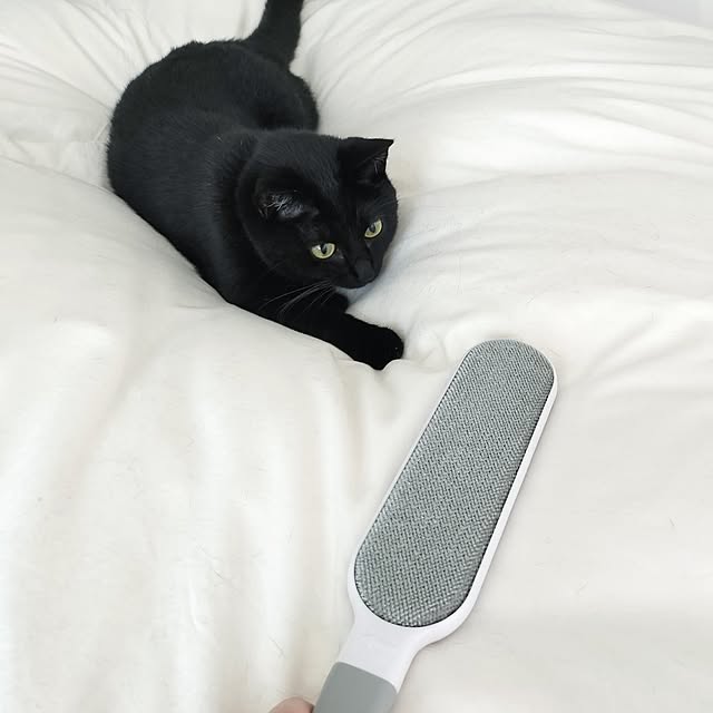 sakuraさんの部屋