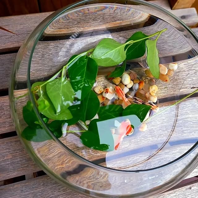 cafe0415hさんの部屋