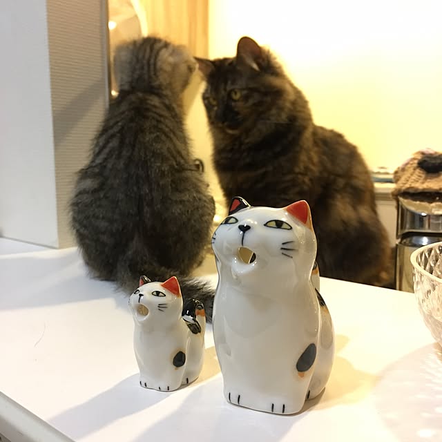 mikomaruさんの実例写真