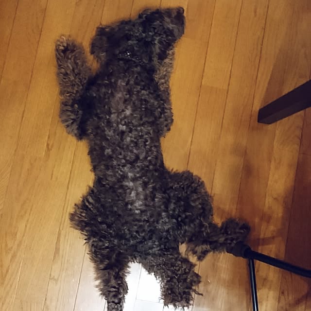 mimi828さんの実例写真